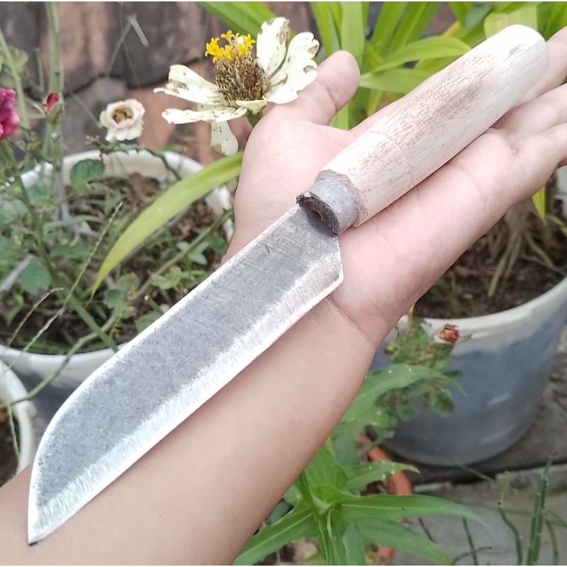 PISAU DAPUR BAHAN BAJA EX GERGAJI