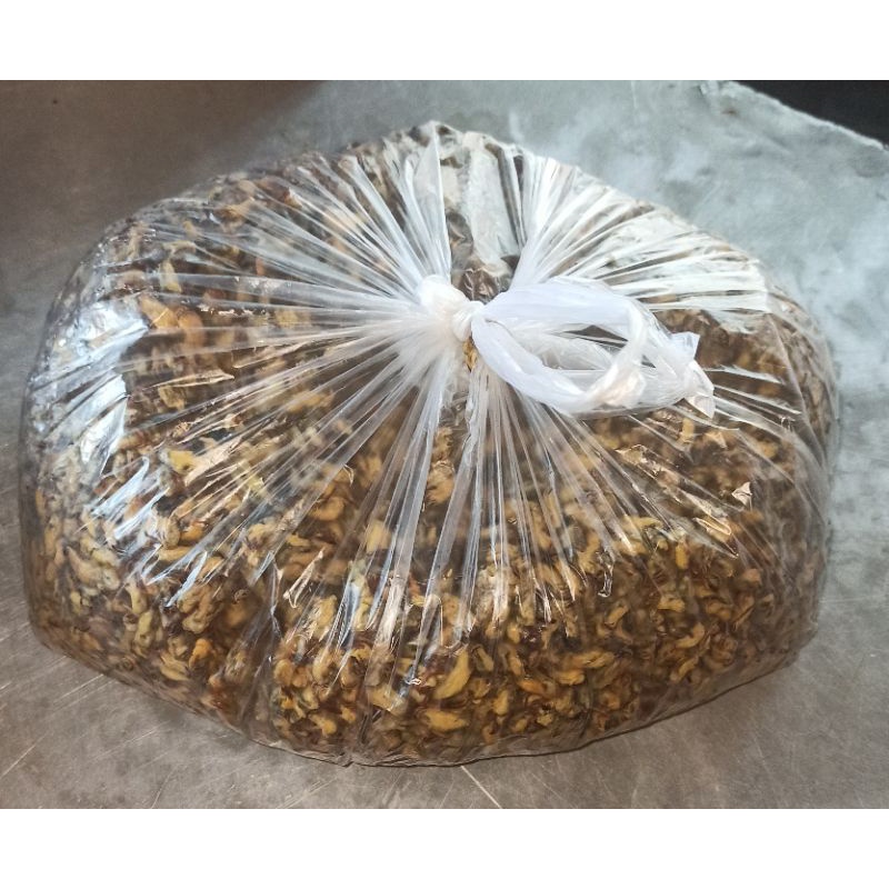 

Kupang Merah/Jawa(Kupas)