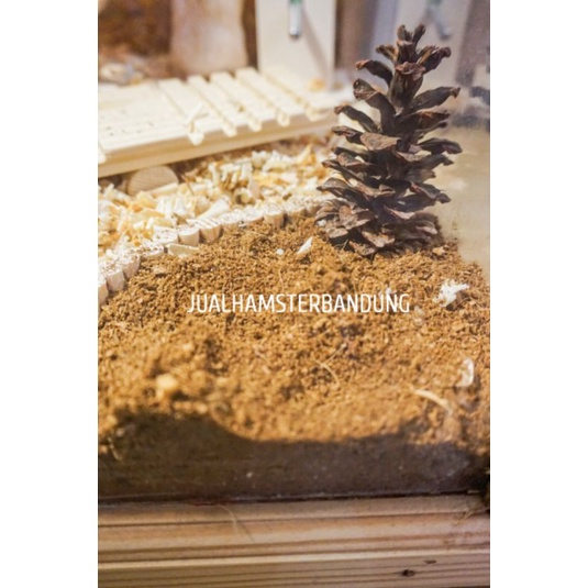 Cocopeat Alas Hamster | Cocopeat Bedding | Cocopeat Hamster | Bedding Hamster