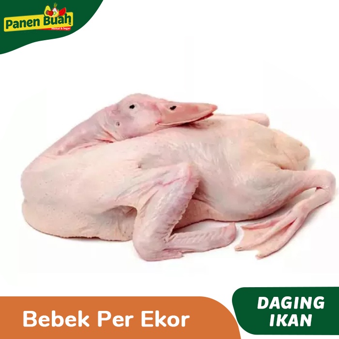 

Bebek Segar Per Ekor (1100-1200gr)