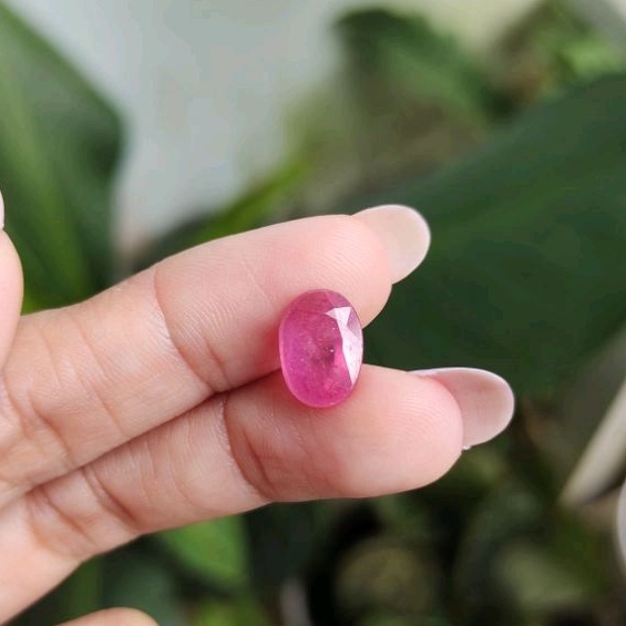 Natural Batu Permata Mulia Merah Ruby - Rubi Cutting Oval A- Merah Delima