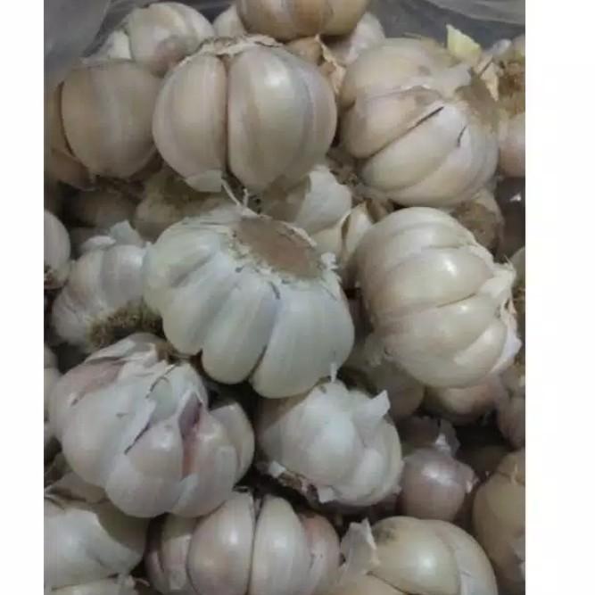 

ㅝ Bawang putih 250g STOK BANYAK 2290 ⁂