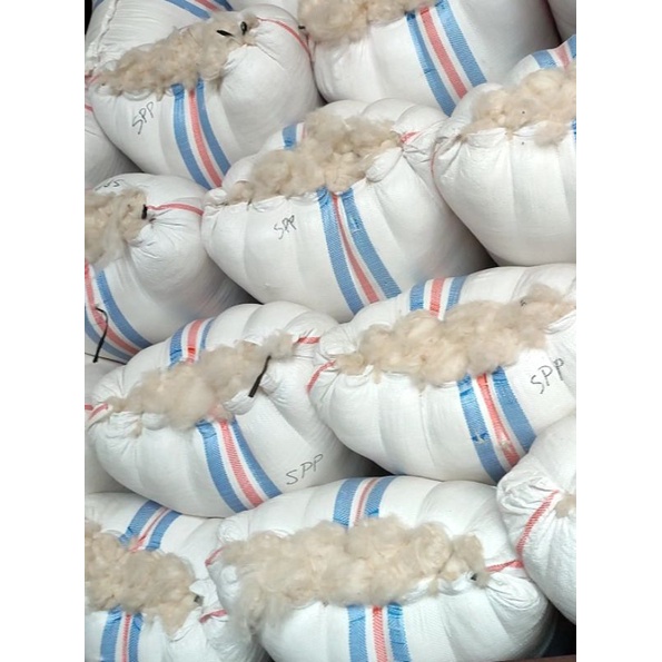 Kapuk Randu Asli 5Kg Tanpa Biji/Kapuk Randu Super Termurah