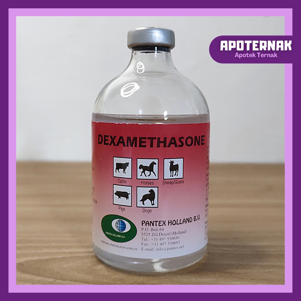 PANTEX DEXAMETHASONE 100 ml Dexa | Pantex Holland | Obat Injeksi Atasi Lumpuh Pincang Bengkak Cedera Pada Sapi Kambing Anjing Kucing Ayam Babi | DEXA - Mirip Glucortin