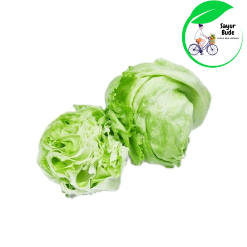 

Head letyuce / baby kol 500 gr