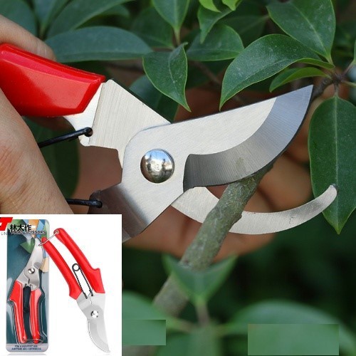 Gunting Dahan Bengkok