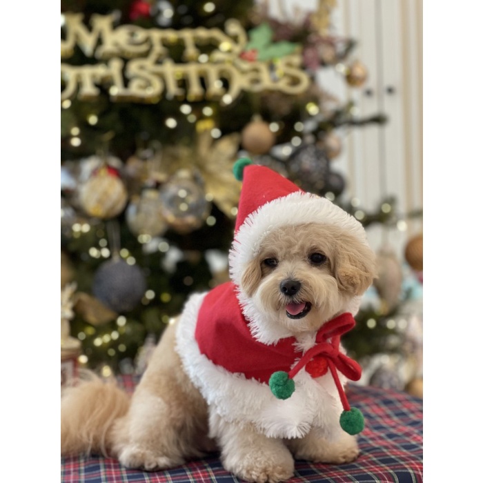 Baju Doggy Natal Christmas Super Quality Red Cape Pawpawsome Projects