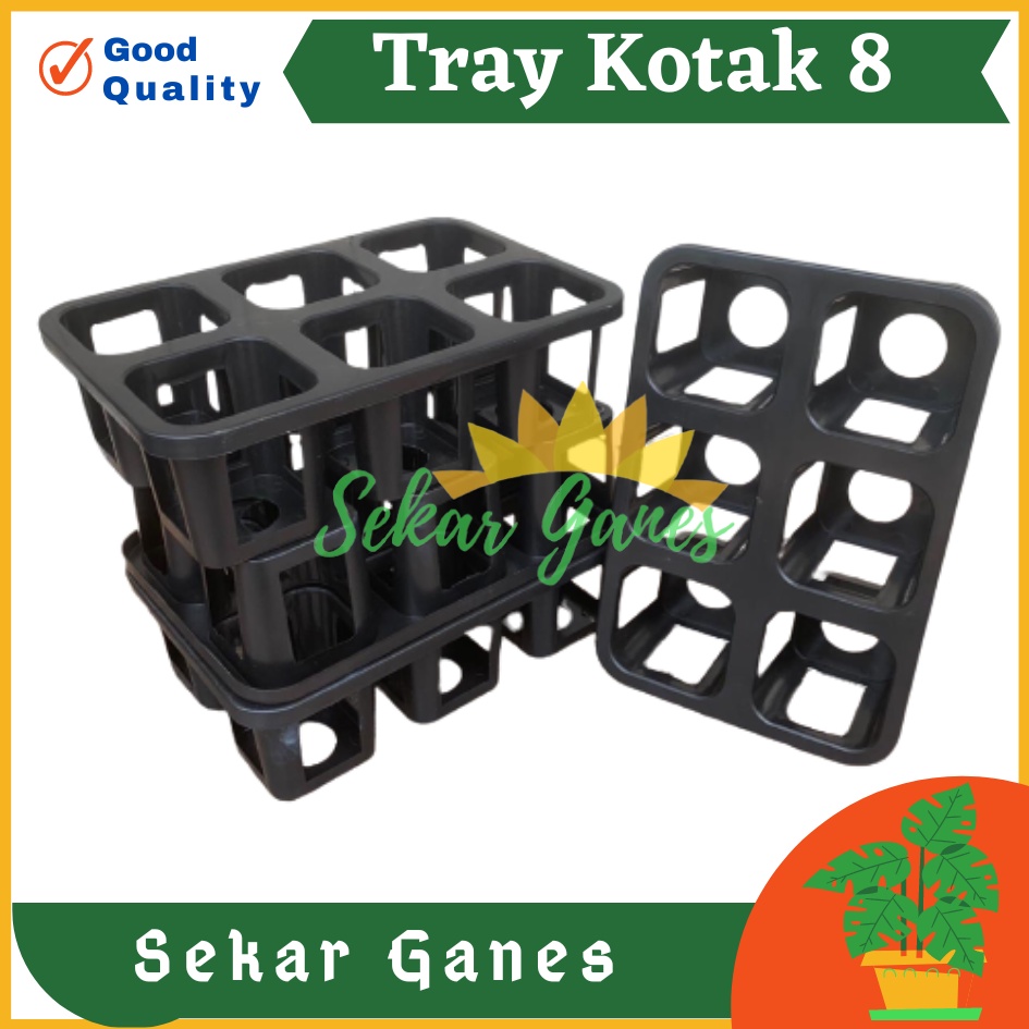 PROMO MURAH Tray Pot Kotak 8 cm Warna Hitam Tray Semai Bibit TRYPOT KOTAK 8 cm NKT 8 cm NKT JUOSS 8 Tray Semai 200 105 50 128 72 288 Lubang Padi Tutup Tebal-Tray pot nkt kotak 8cm (tanpa pot) | nkt kotak 8cm | tray semai bibit