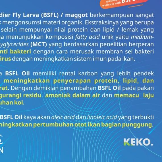 PAKAN KOI WELLGRO 2 KG M FLOATING MAKANAN IKAN KOI