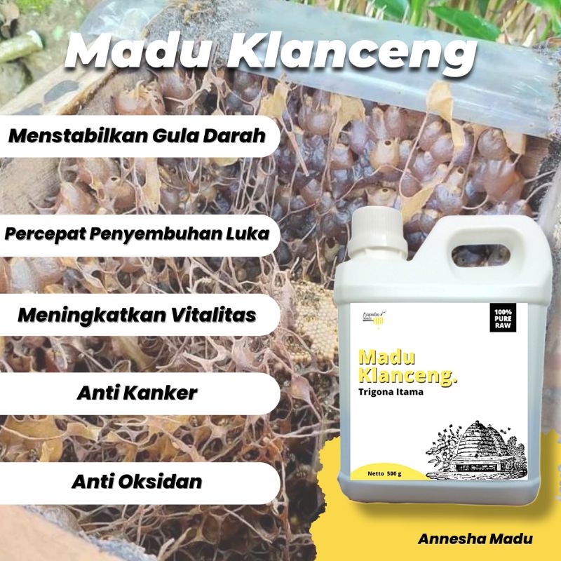 

Madu Murni Klanceng Trigona Itama 500gr