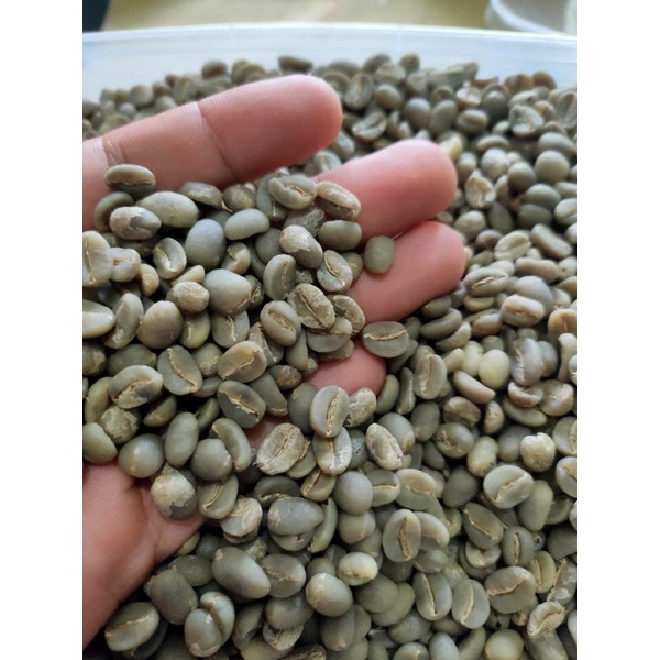 

GREENBEAN BIJI MENTAH ARABIKA SINGEL ORIGIN BROMO FULLWASH G1 (1 KG)