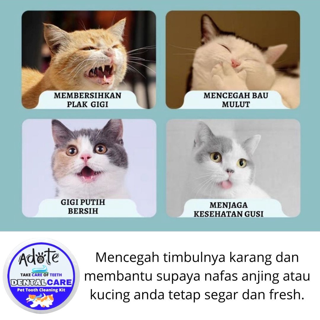 Odol Kucing Odol Adote Original Pasta Gigi Kucing Gosok FEFARM