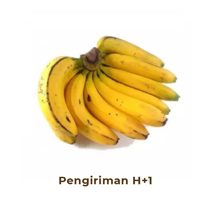 Pisang Raja Segar 1 Sisir