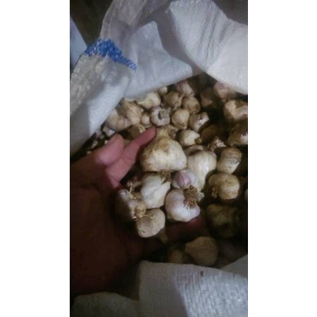 

KEBUN. MUKLIS - Bawang Putih Jawa Asli Buat Bumbu 100Gram
