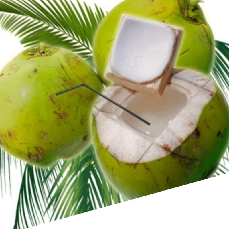 

KELAPA MUDA DAGING LENDIR+GULA PITIH+ES