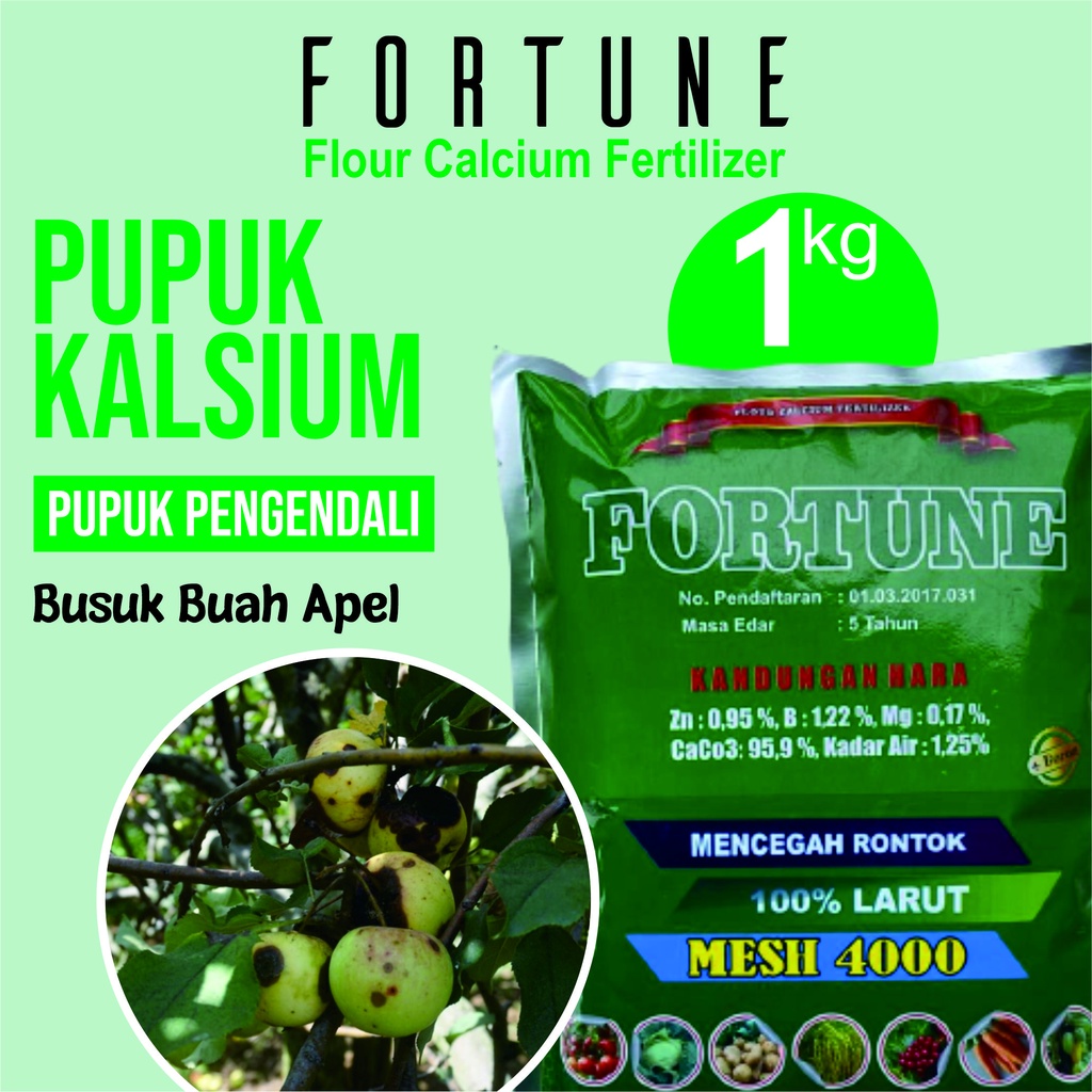 (NUTRISI BUAH APEL) 1 KG FORTUNE Obat Bercak Daun dan Busuk Buah Apel,Busuk akar dan Batang, Patek/a