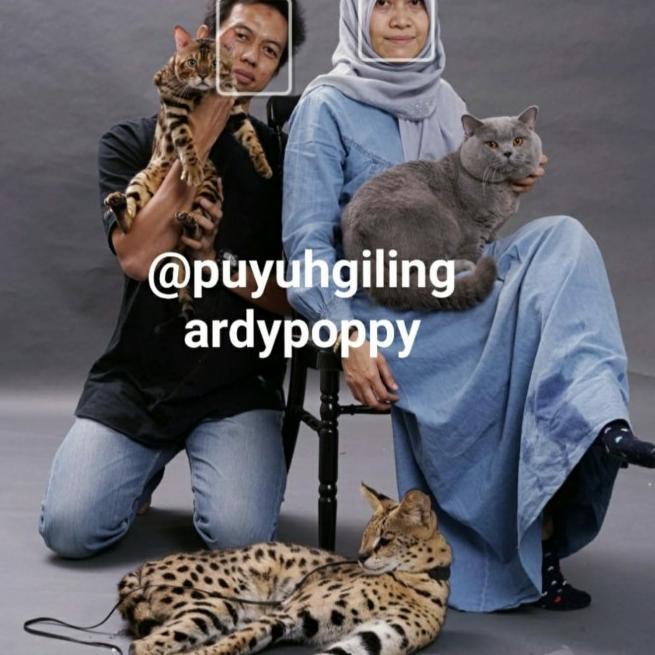 CAT RAW FOOD PUYUH GILING