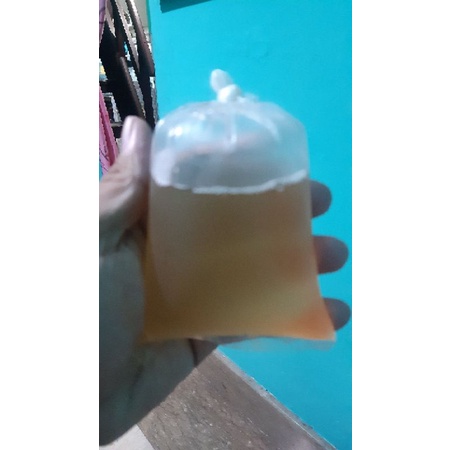 

Air cacing Mengobati Penyakit typus