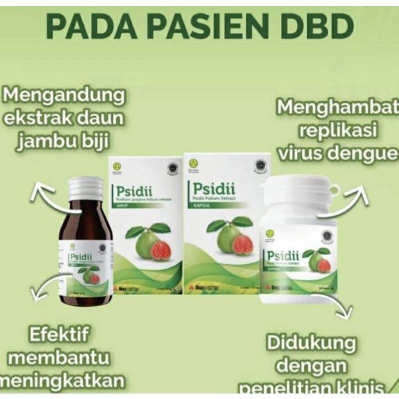 Psidii capsule 500 mg per pcs ( meningkatkan trombosit darah )