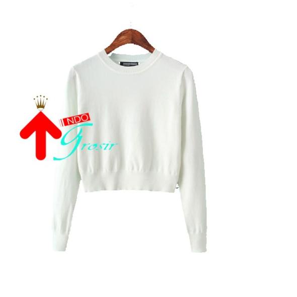 JAKET SWEATER HOODIE CROP POLOS SETENGAH BADAN POLOS