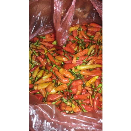 

SAYURAN TERMURAH (ORDER HANYA VIA KURIR INSTAN)