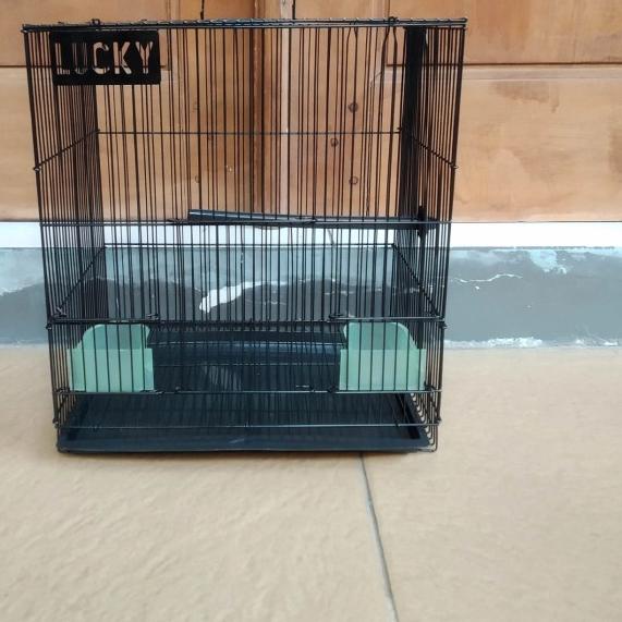 Kandang Sangkar Burung Lovebird Hamster Kecil Merk Lucky Khusus Biru - Ungu