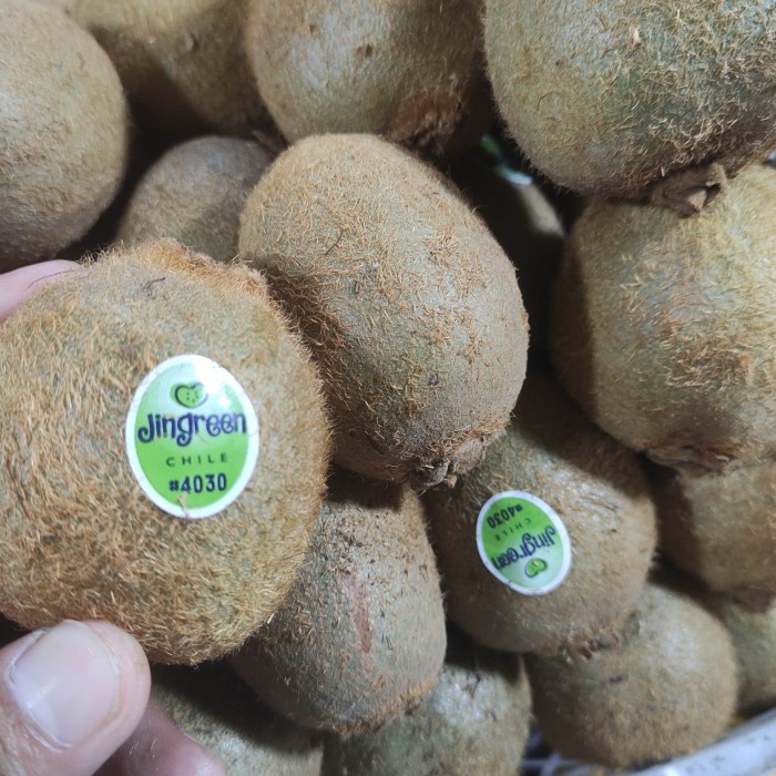 

buah kiwi hijau pasar online makassar