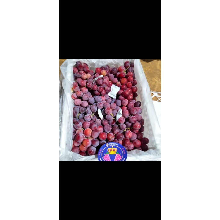 

Buah Anggur Red Globe Import 1kg