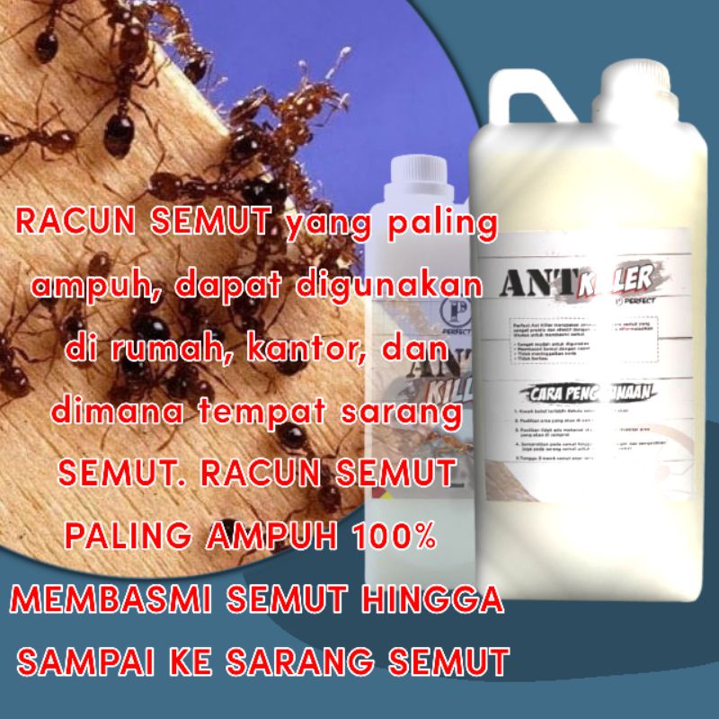 Pembasmi Semut/Ant killer 1ltr