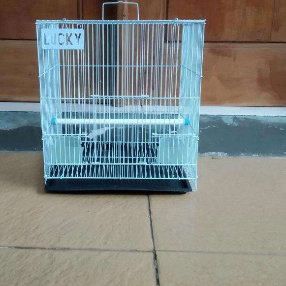 Kandang Sangkar Burung Lovebird Hamster Kecil Merk Lucky Khusus Biru - Ungu