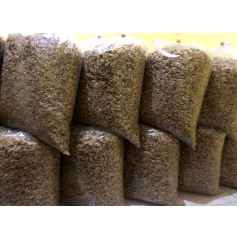 

Baby Fish 1 Bal - Baby Fish 10KG - Baby Fish Ikan Pepetek