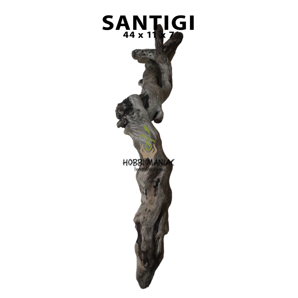 Hardscape Kayu Santigi Aquascape Aquarium 44X11X7 CM