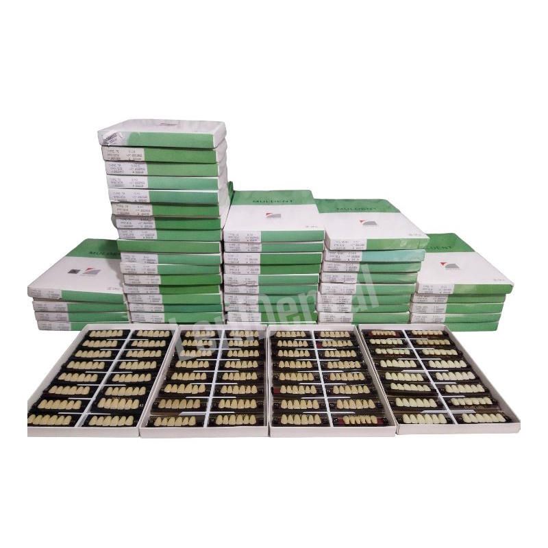 GIGI PALSU / GIGI MULDENT - DEPAN ATAS / PER BOX ISI 16 BARIS