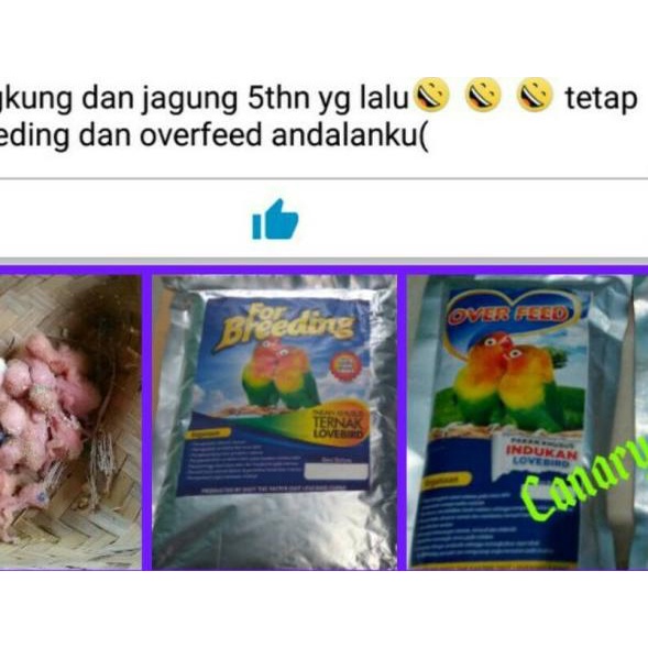 "for Breeding Lovebird" Pakan khusus ternak burung Lovebird
