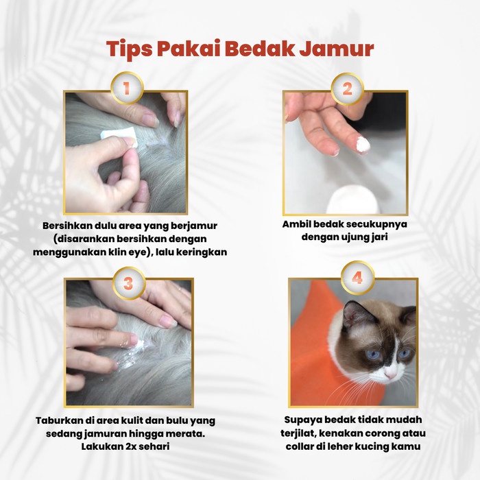 Bedak ANTI JAMUR - Dewarangga