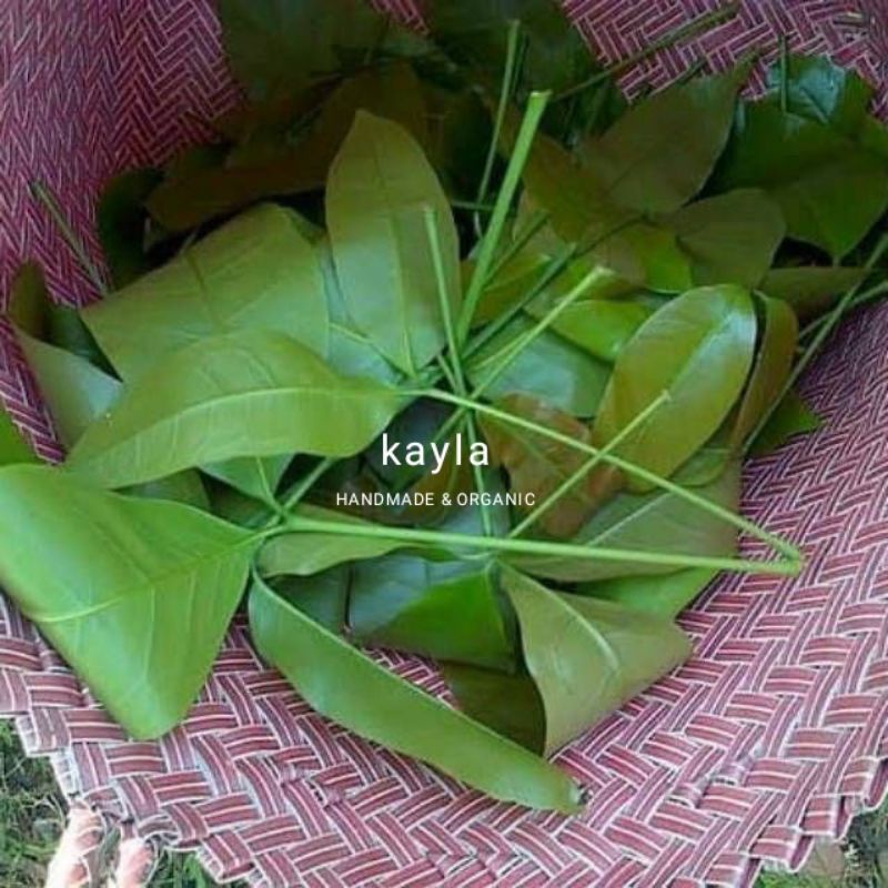 

Daun Melinjo/Tangkil muda segar 200 gram