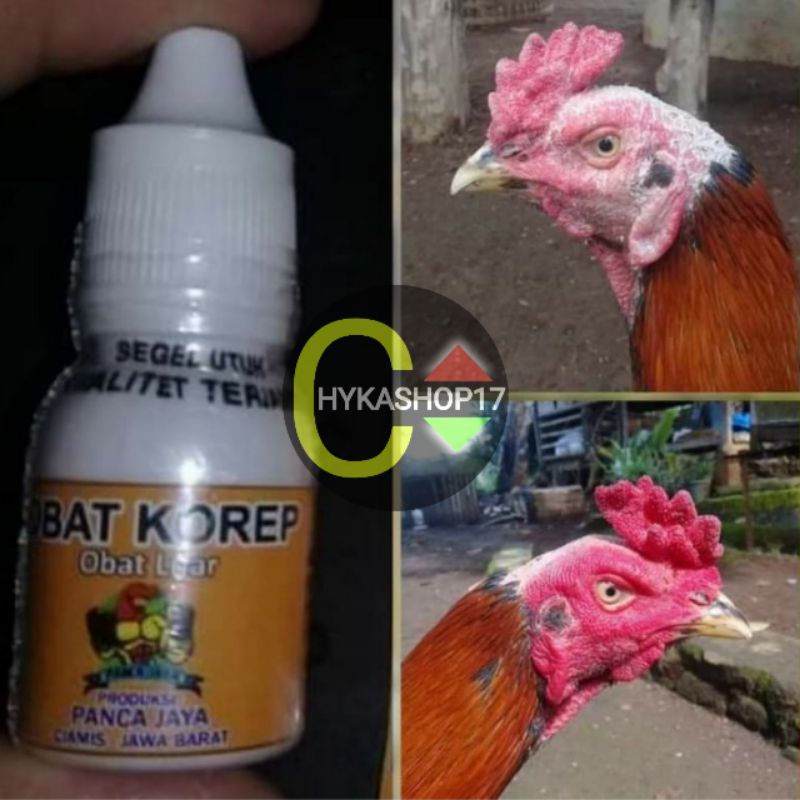 OBAT KOREP AYAM - Panca Jaya