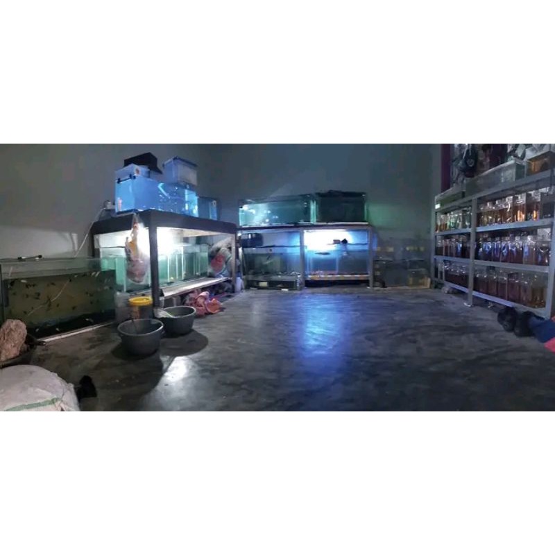 aquarium 60X30X30