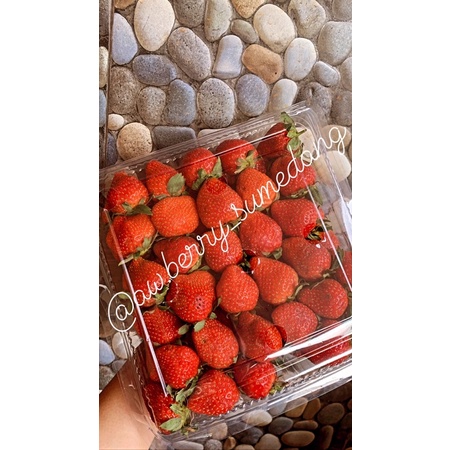 

Awberry fresh 1 kg strawberry asli ciwidey