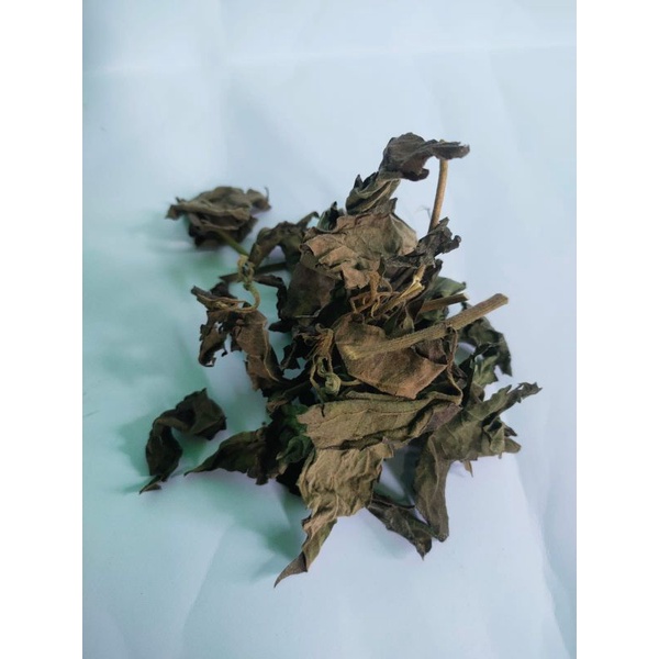 

Daun kirinyuh kering atau kopasanda kering