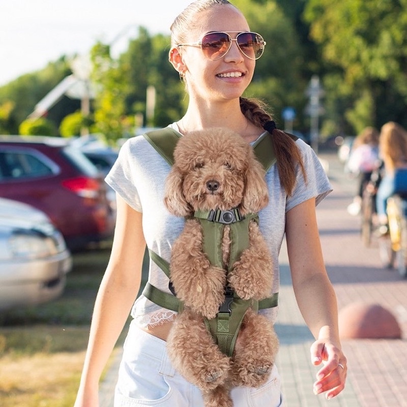 Premium tail up pet carrier