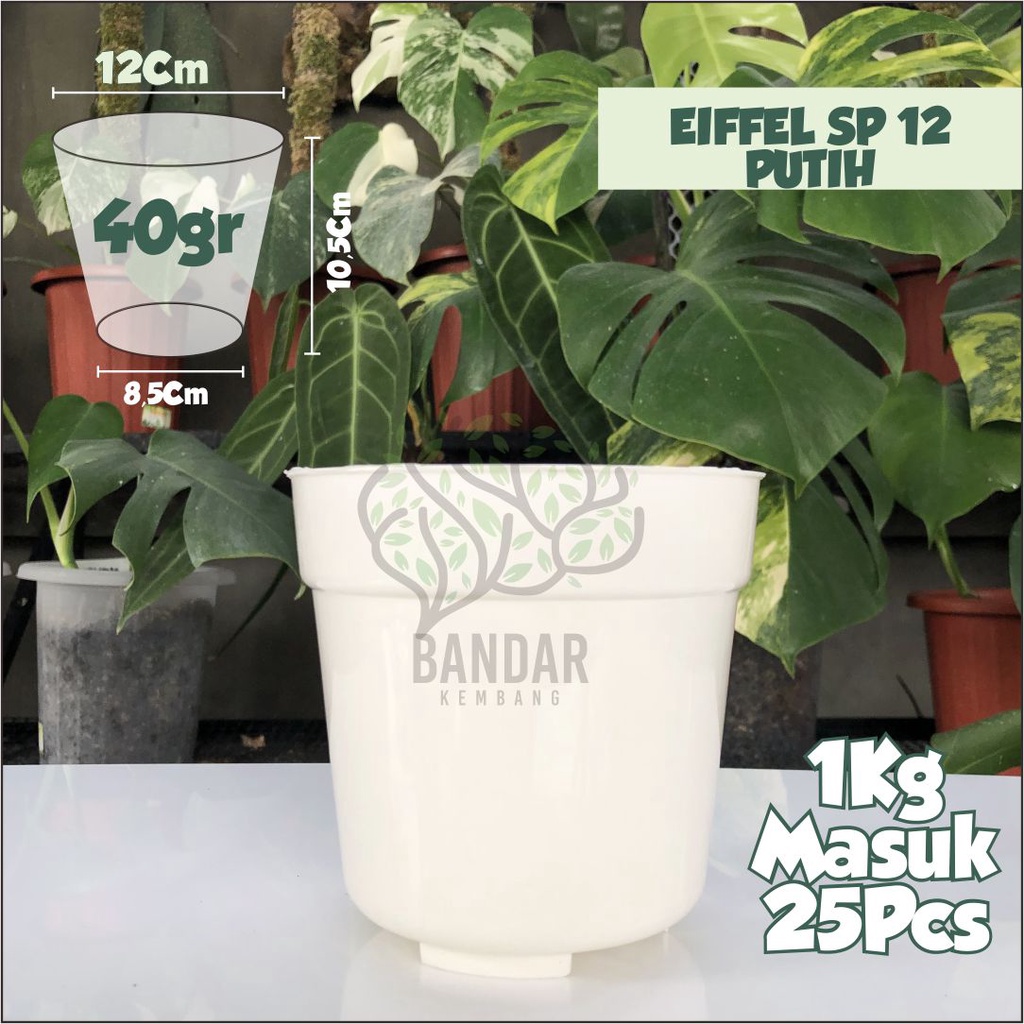 Pot Putih Effiel Ukuran 12 Warna Putih - Pot Bunga Kecil Tinggi - Pot Tinggi Tanaman Hias