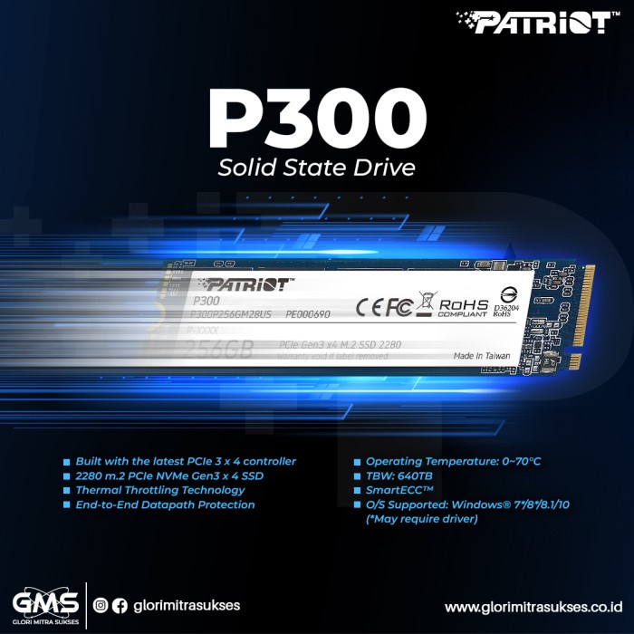 Patriot P300 M.2 2280 1 TB / SSD M.2 1TB / SSD Patriot M.2 1TB