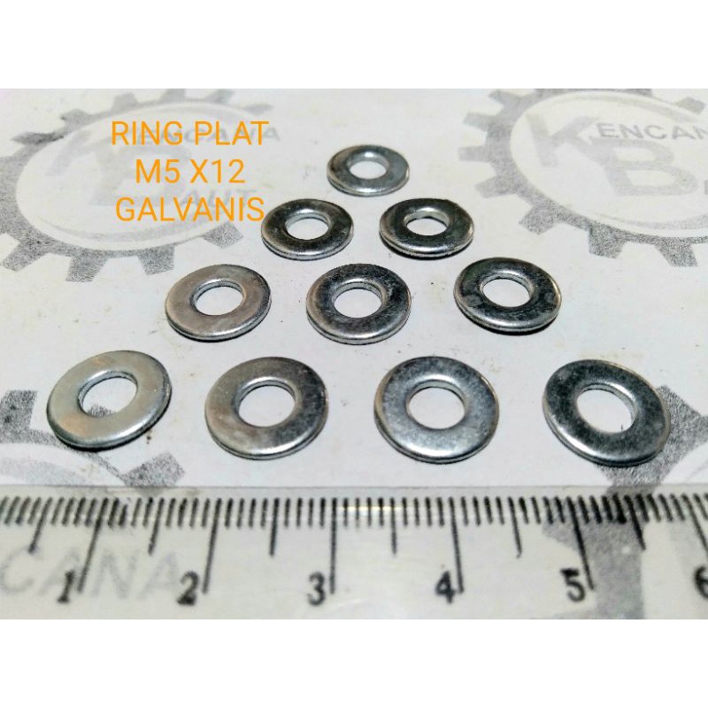 10 Pcs RING PLAT GALVANIS M5 X 12 / RING BAUT GALVANIS M5 X 12