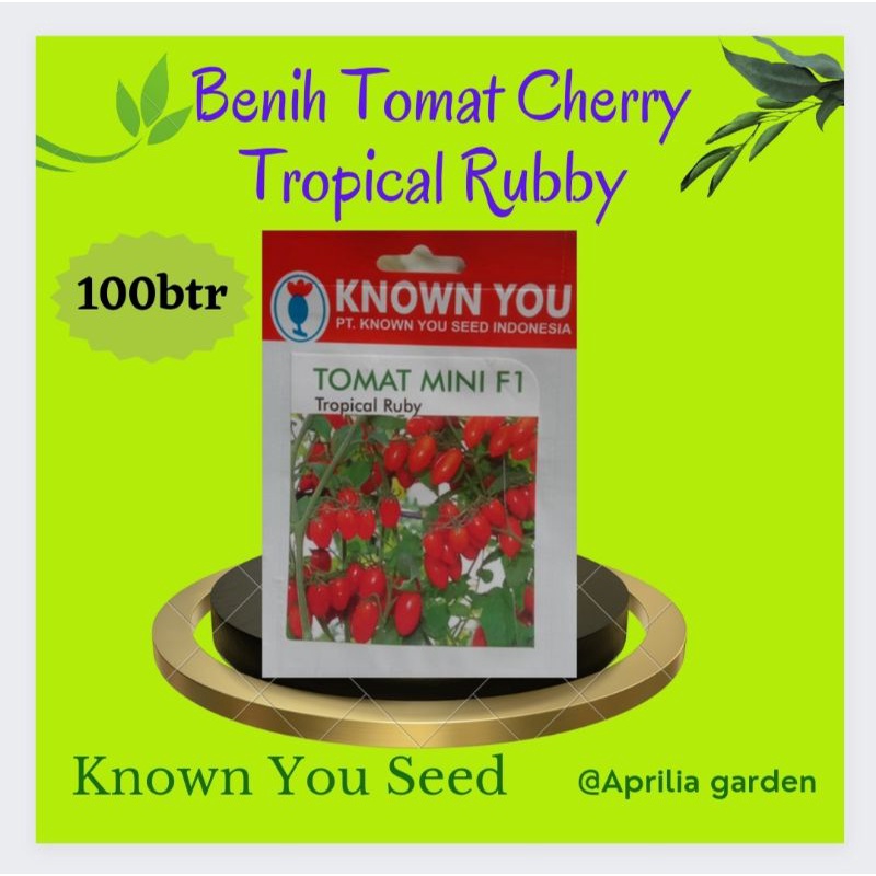 Jual Benih Tomat Chery Tomat Mini Tropical Rubby Biji Original Known You Seed Shopee Indonesia