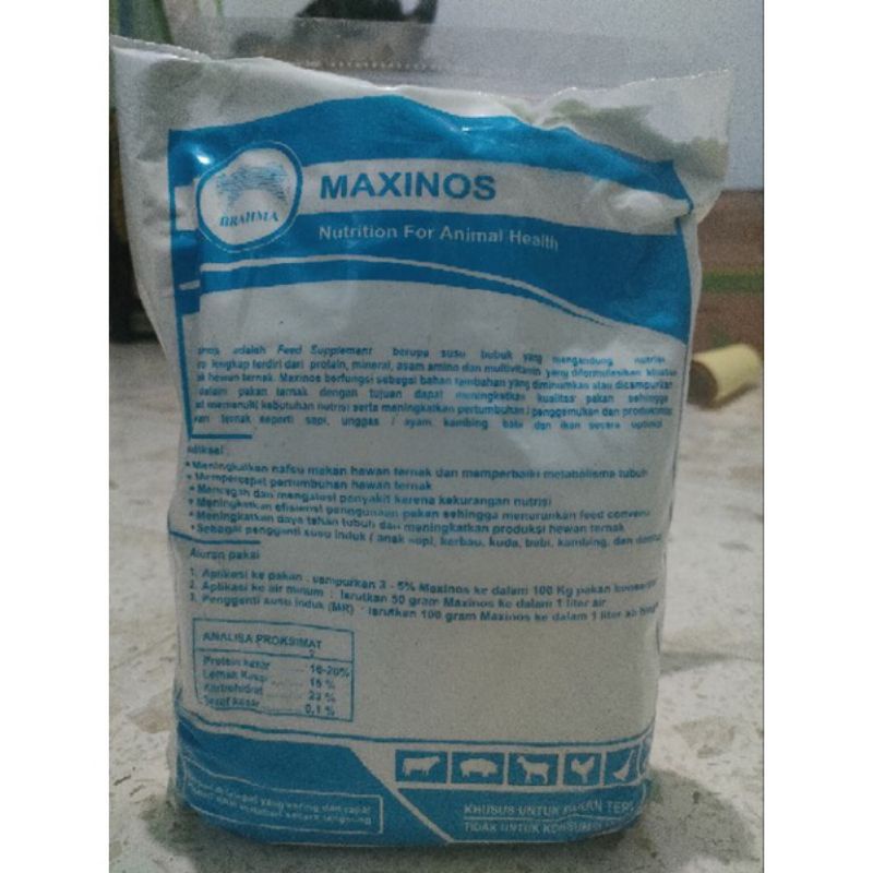 Maxinos Susu Kambing Cempe Sapi Kelinci Kucing Ayam