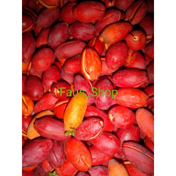 

kulit melinjo fresh 500 gram