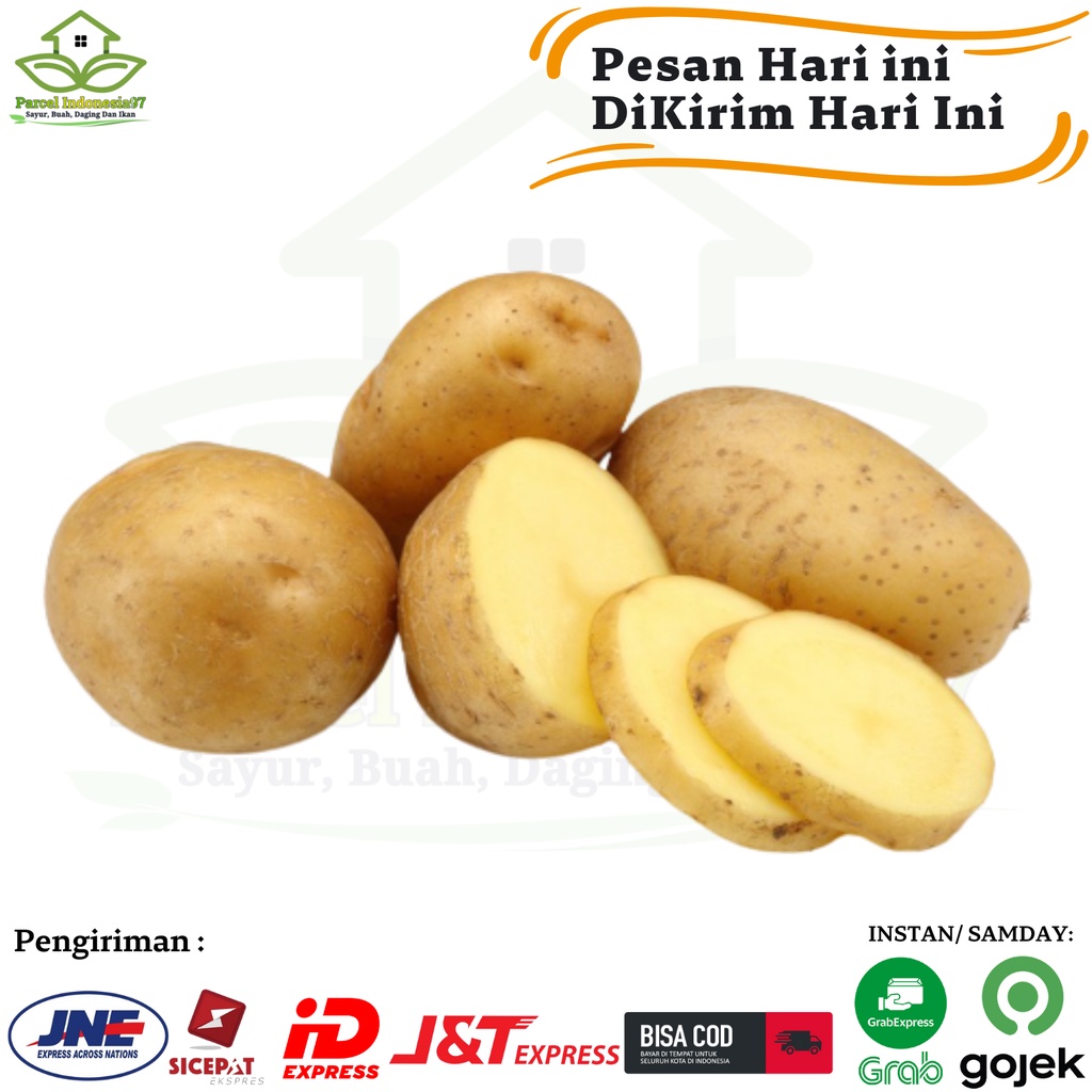 

Kentang dieng 500gr pasar murah pilihan