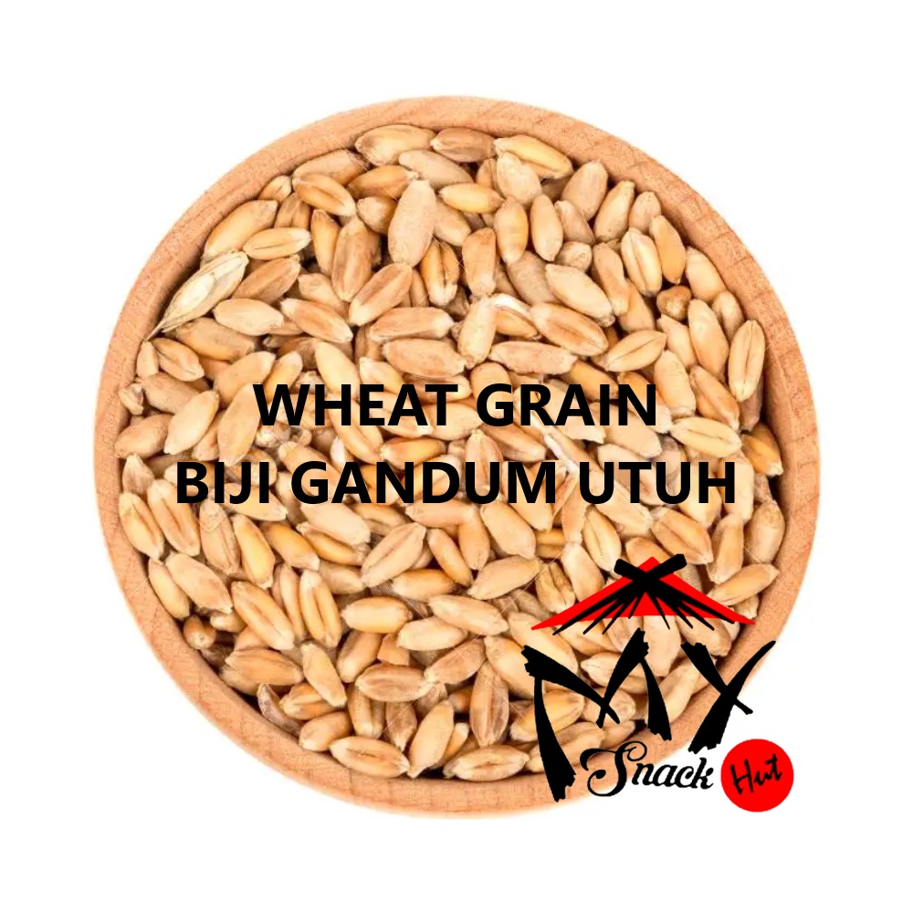 WHEAT GRAIN 100GR - BIJI BERAS GANDUM UTUH SUPER PUTIH WHITE WHOLE WHEAT SEEDS IMPORT AUSTRALIA