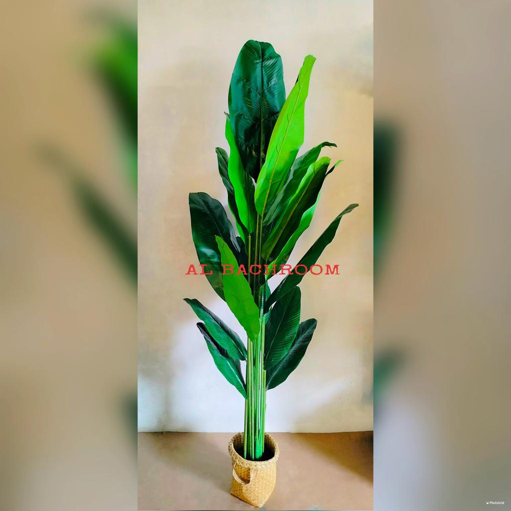 1 PAKET TANAMAN PISANG DAUN LATEX 170 CM DAN POT RB6079 TANAMAN ARTIFICIAL DEKORASI RUMAH